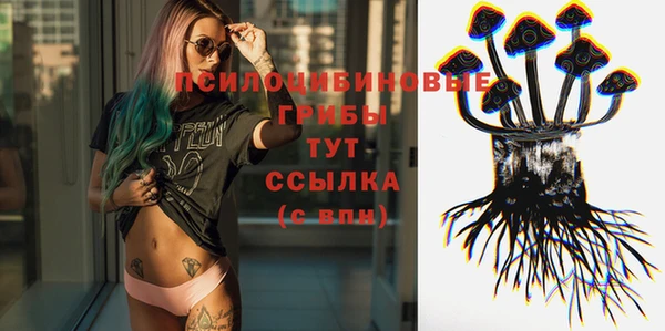 мяу мяу кристалл Алексин